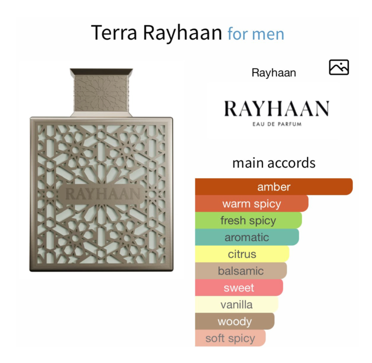 Rayhaan Terra Eau de Parfum (100ml)
