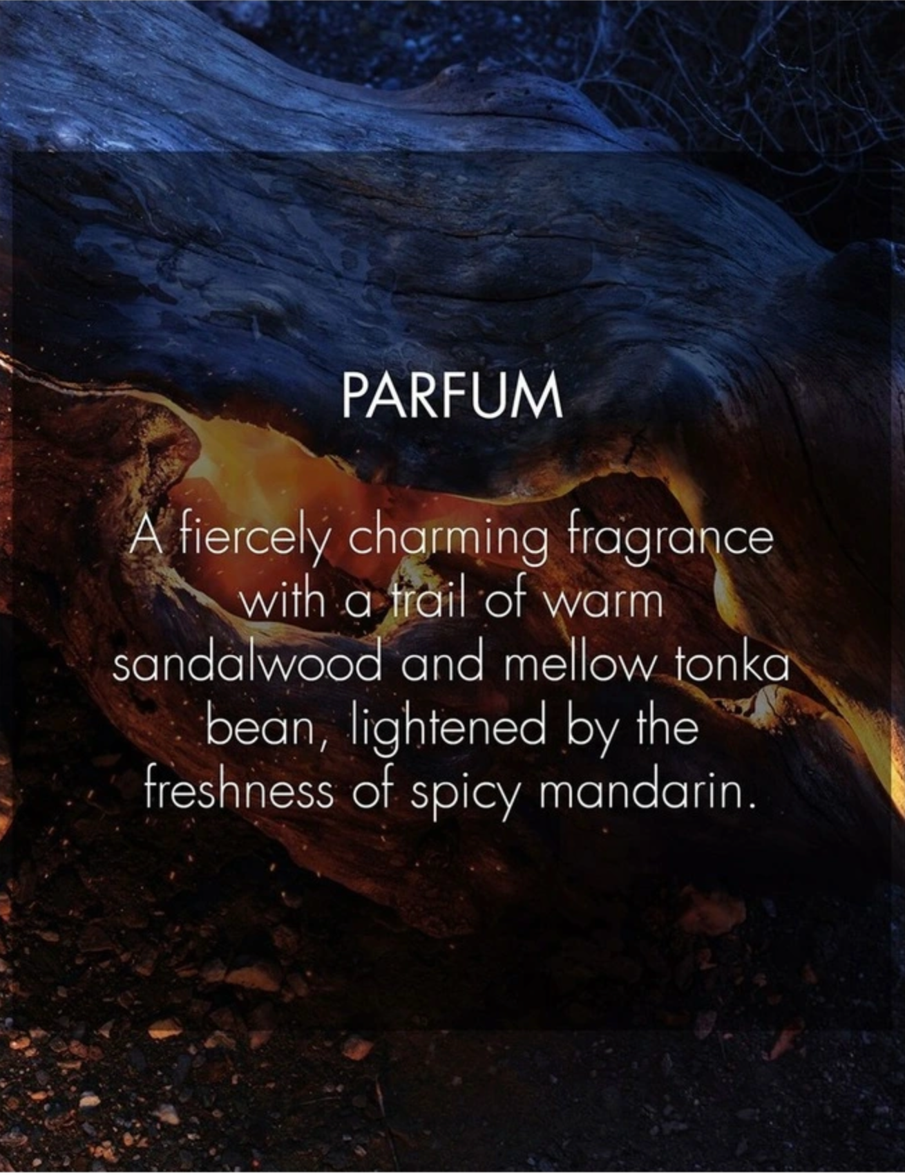 Dior Sauvage Parfum (100ml)