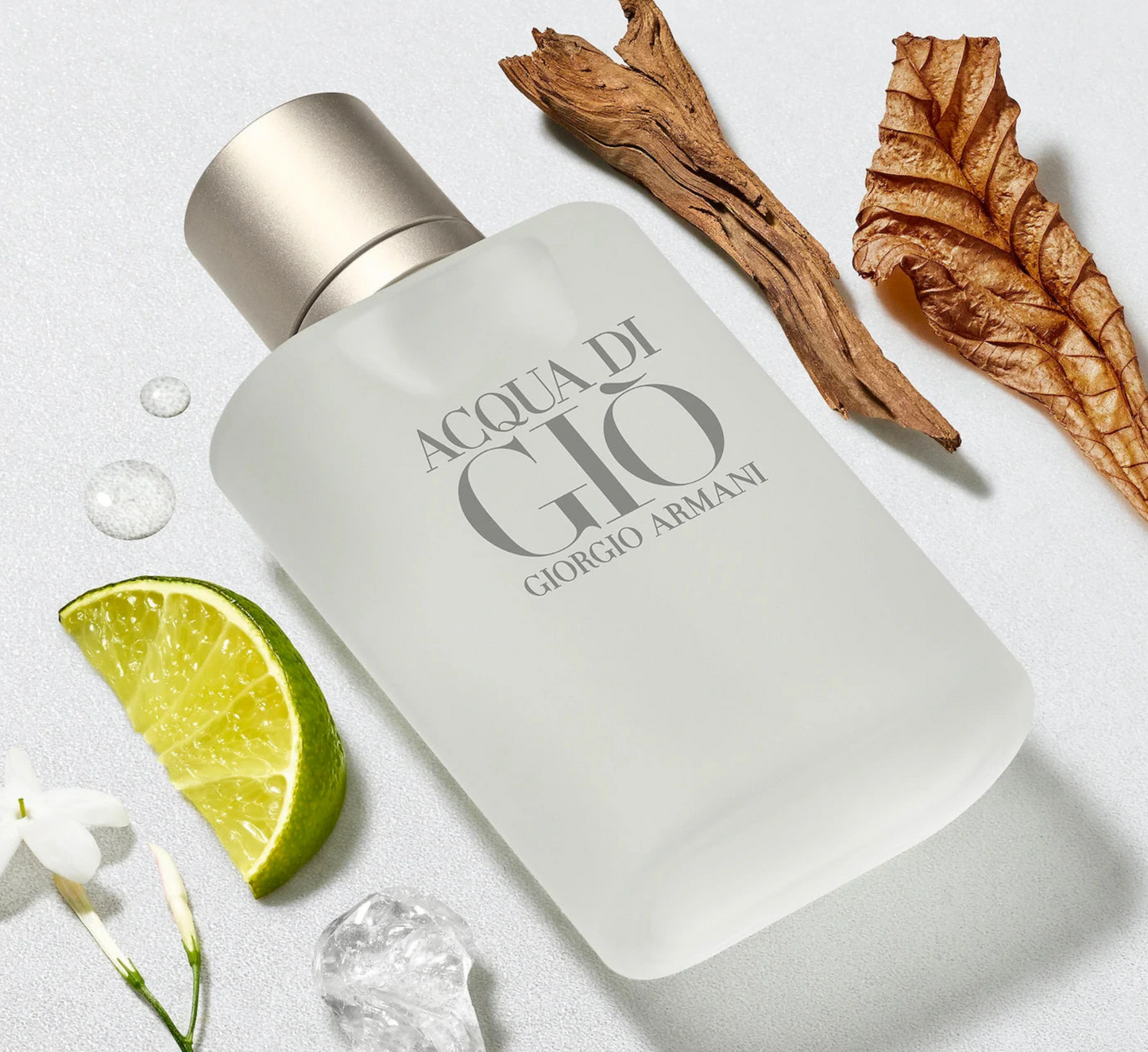 Giorgio Armani - Acqua Di Giò  (100ml EDT)